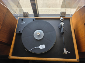 VPI Hw-19 Junior
